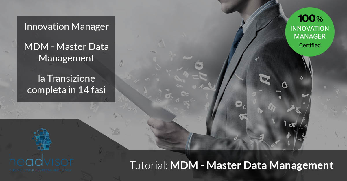 le 14 fasi dell'mdm Master Data Management